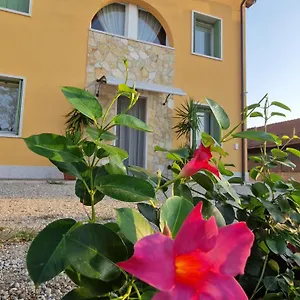 Fiore Ganfardine